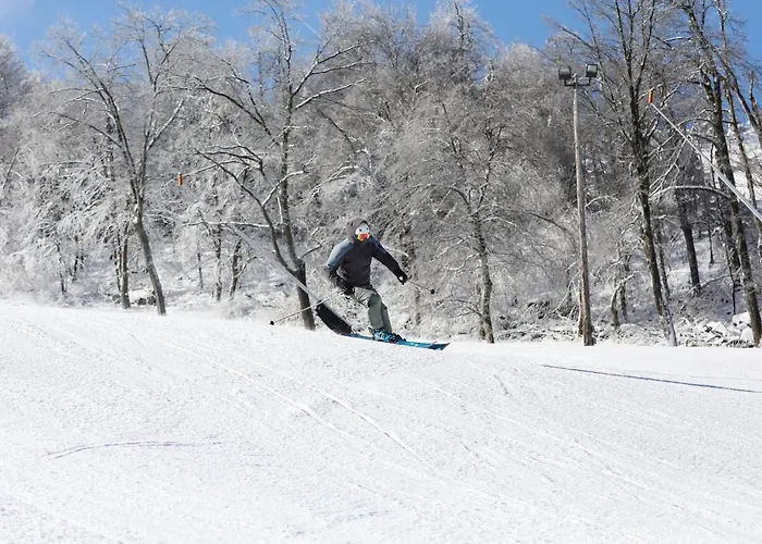 Seven Springs Swiss Mountain 1 Bedroom Standard Condo Condo